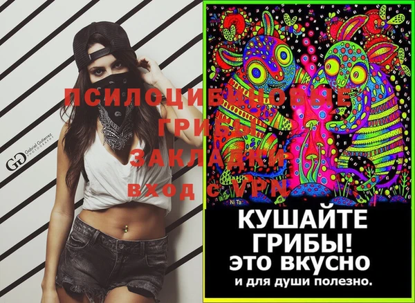 первитин Михайлов
