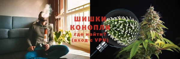 ГАЛЛЮЦИНОГЕННЫЕ ГРИБЫ Михайловск