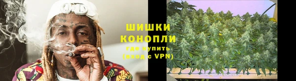 ГАЛЛЮЦИНОГЕННЫЕ ГРИБЫ Михайловск